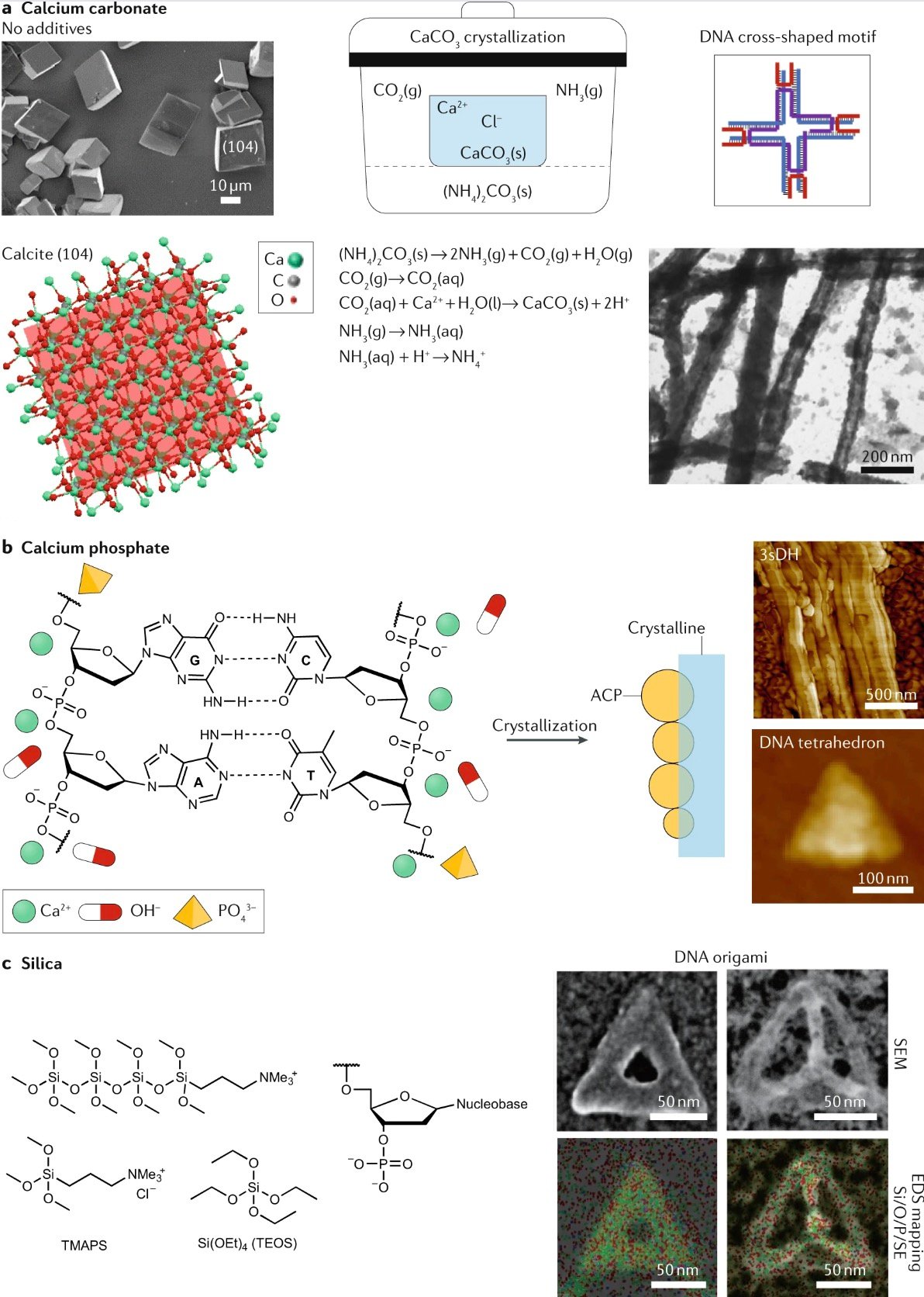 Templated hydroxyapatite mineralization on DNA nanostructures